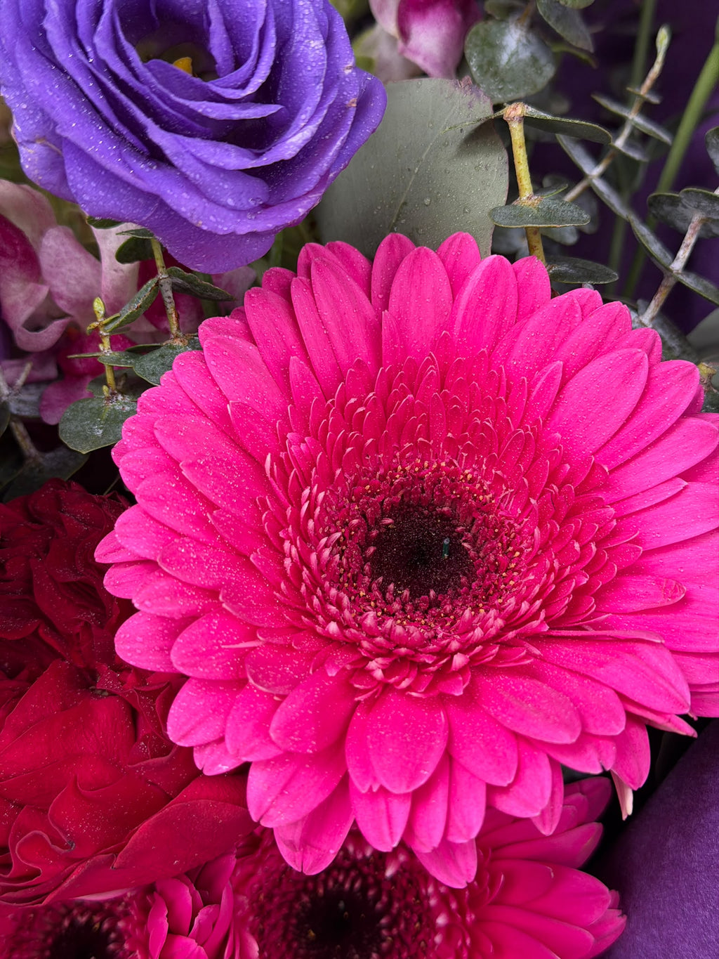 Close-up of a vibrant pink gerbera and purple lisianthus with red roses in the Violet Passion flower bouquet, handcrafted by Quiet Bloom florist in Richmond, Melbourne.