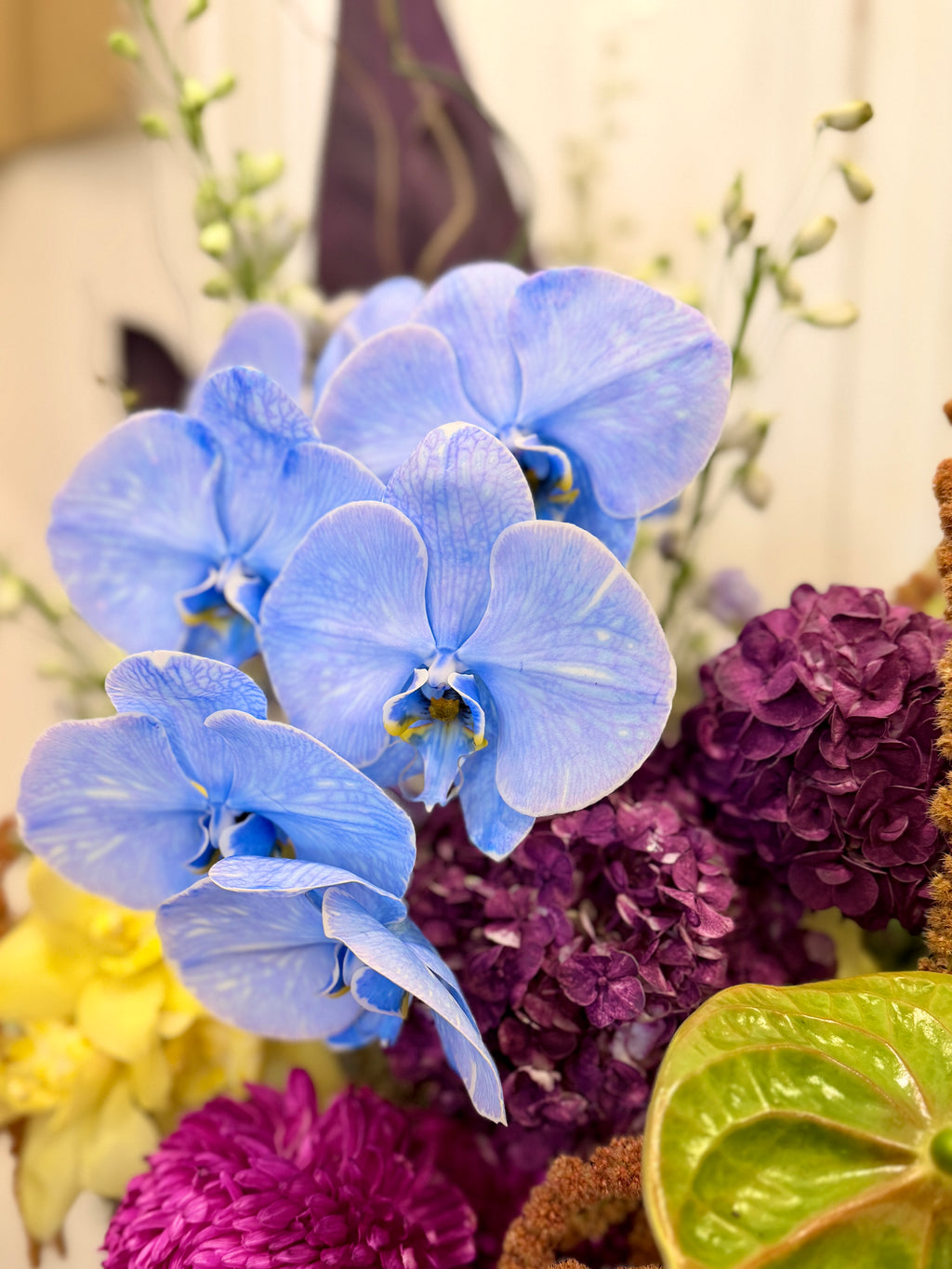Azure Orchid Luxe