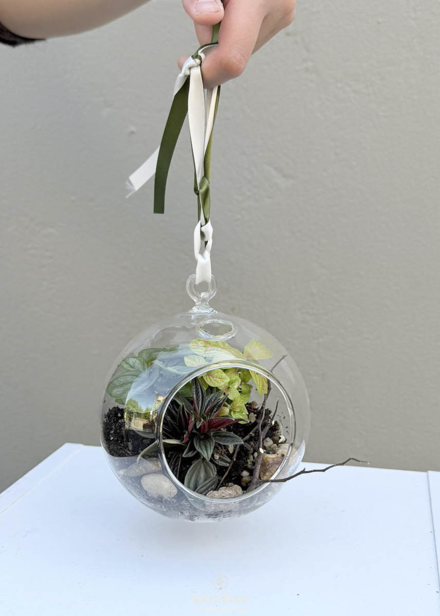 Hanging Glass Terrarium – Mini Botanical Globe