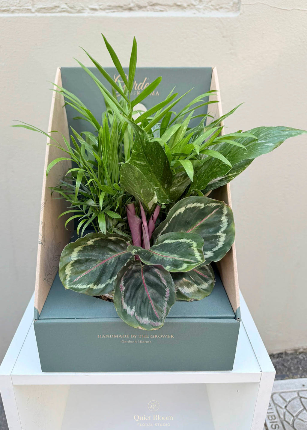 Foliage Garden in Clear Glass Bowl