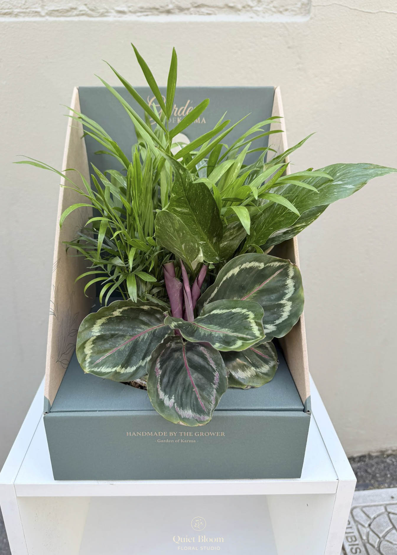 Foliage Garden in Clear Glass Bowl