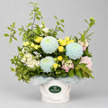 Welcome Baby Boy – New Baby Flower Box