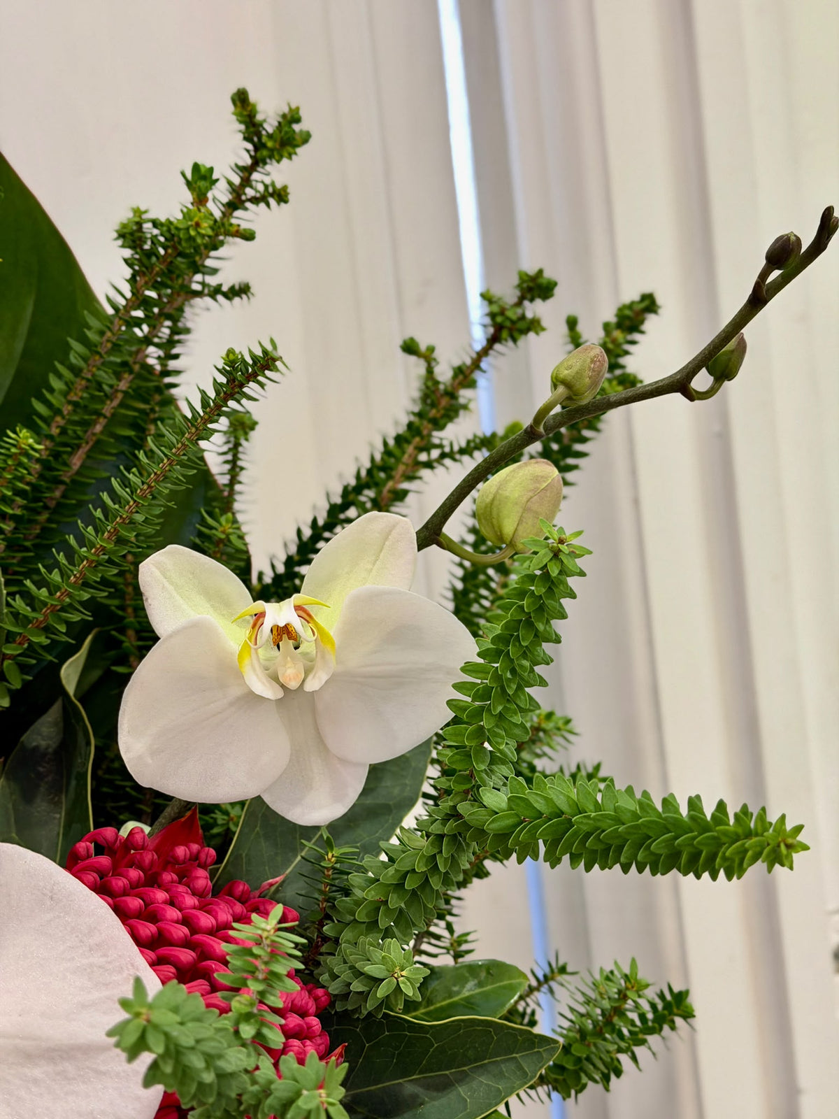 Orchid & Anthurium Sculptural Arrangement
