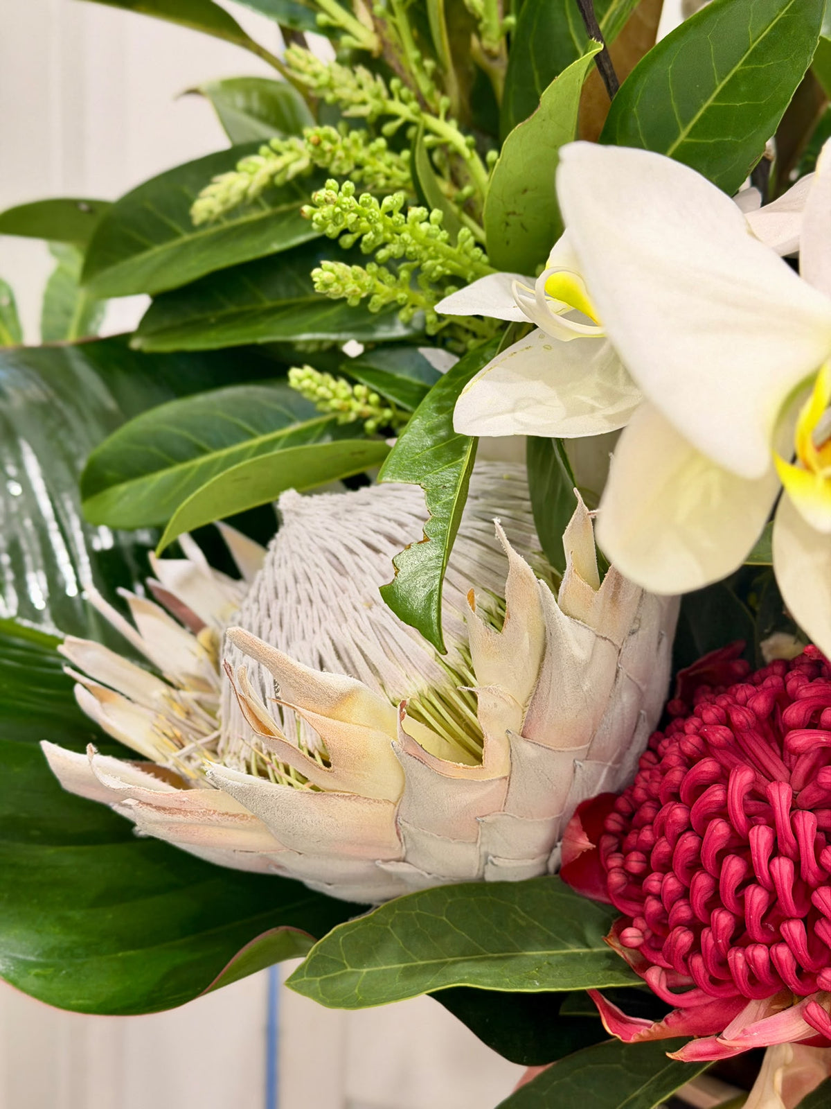 Orchid & Anthurium Sculptural Arrangement