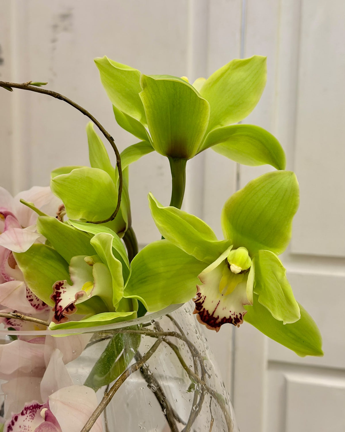 Cymbidium Garden – Orchid Glass Bowl Arrangement