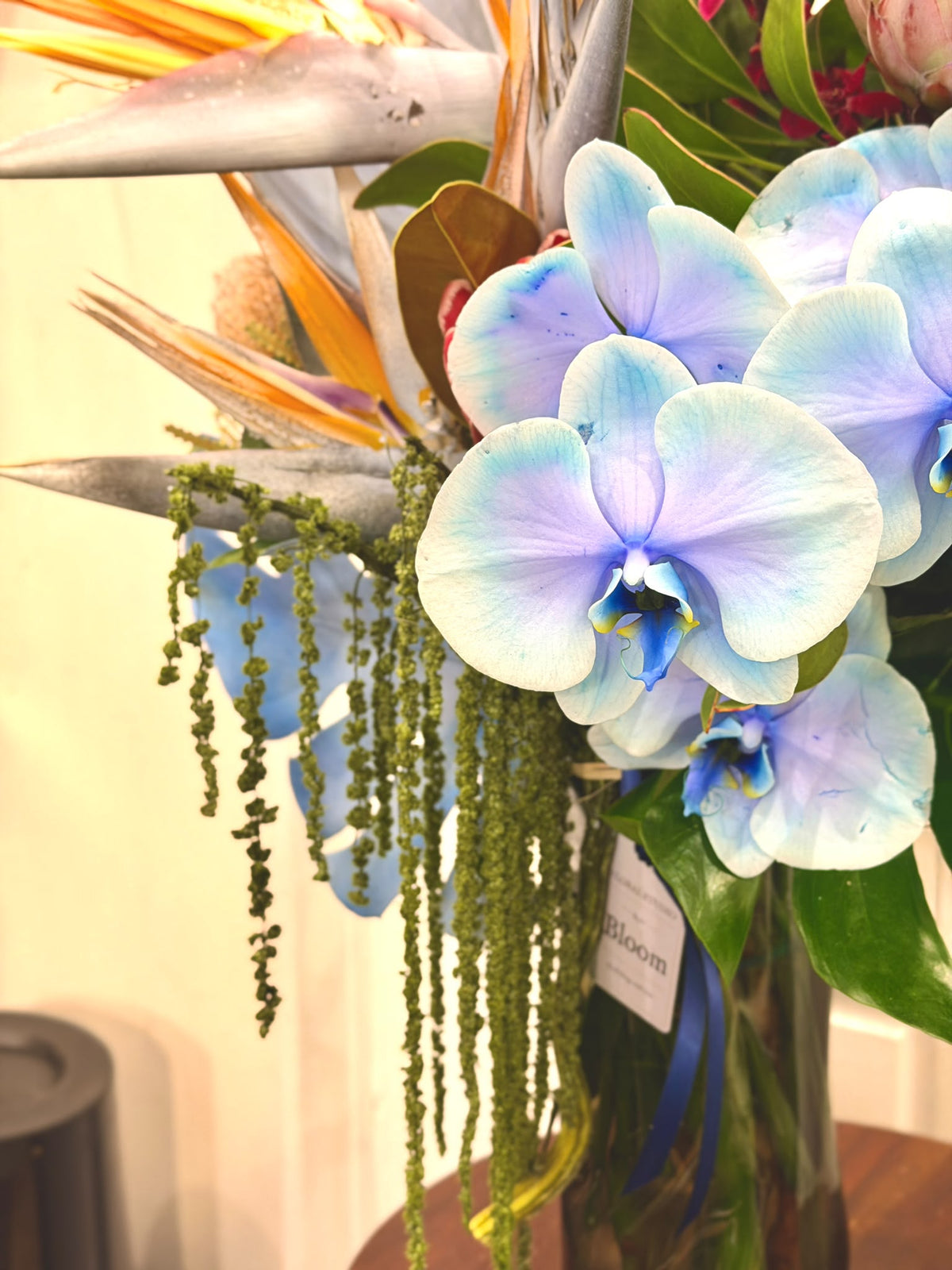 Tropical Statement – Orchid & Protea Arrangement