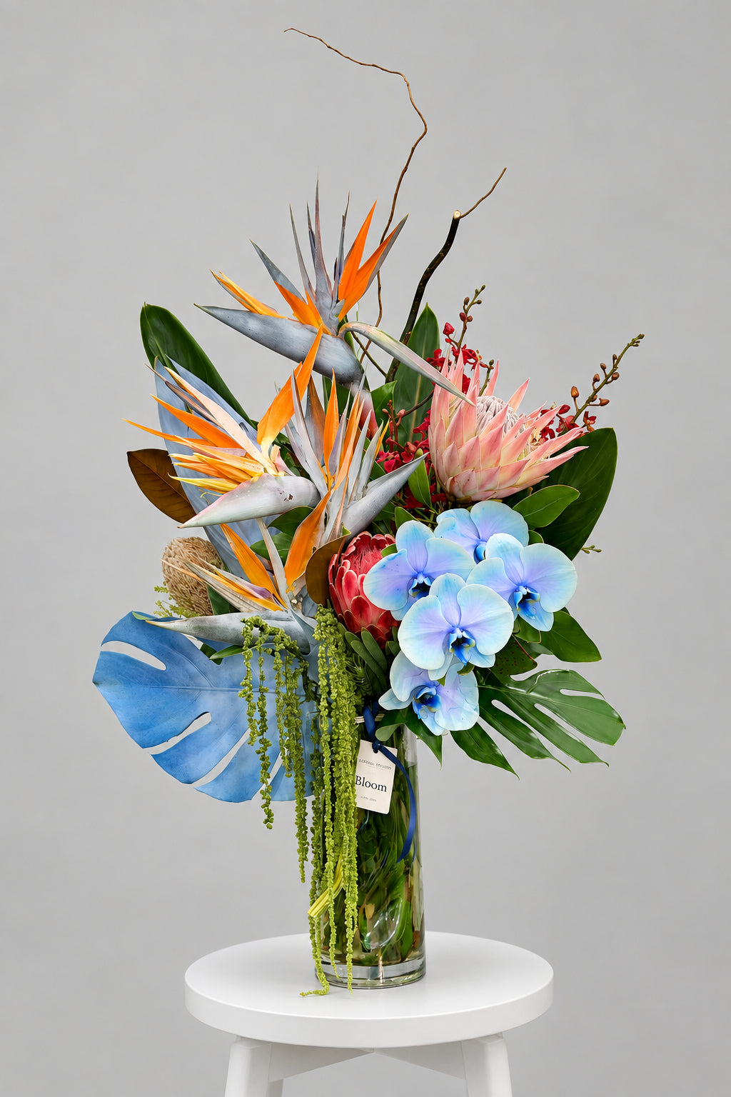 Tropical Statement – Orchid & Protea Arrangement