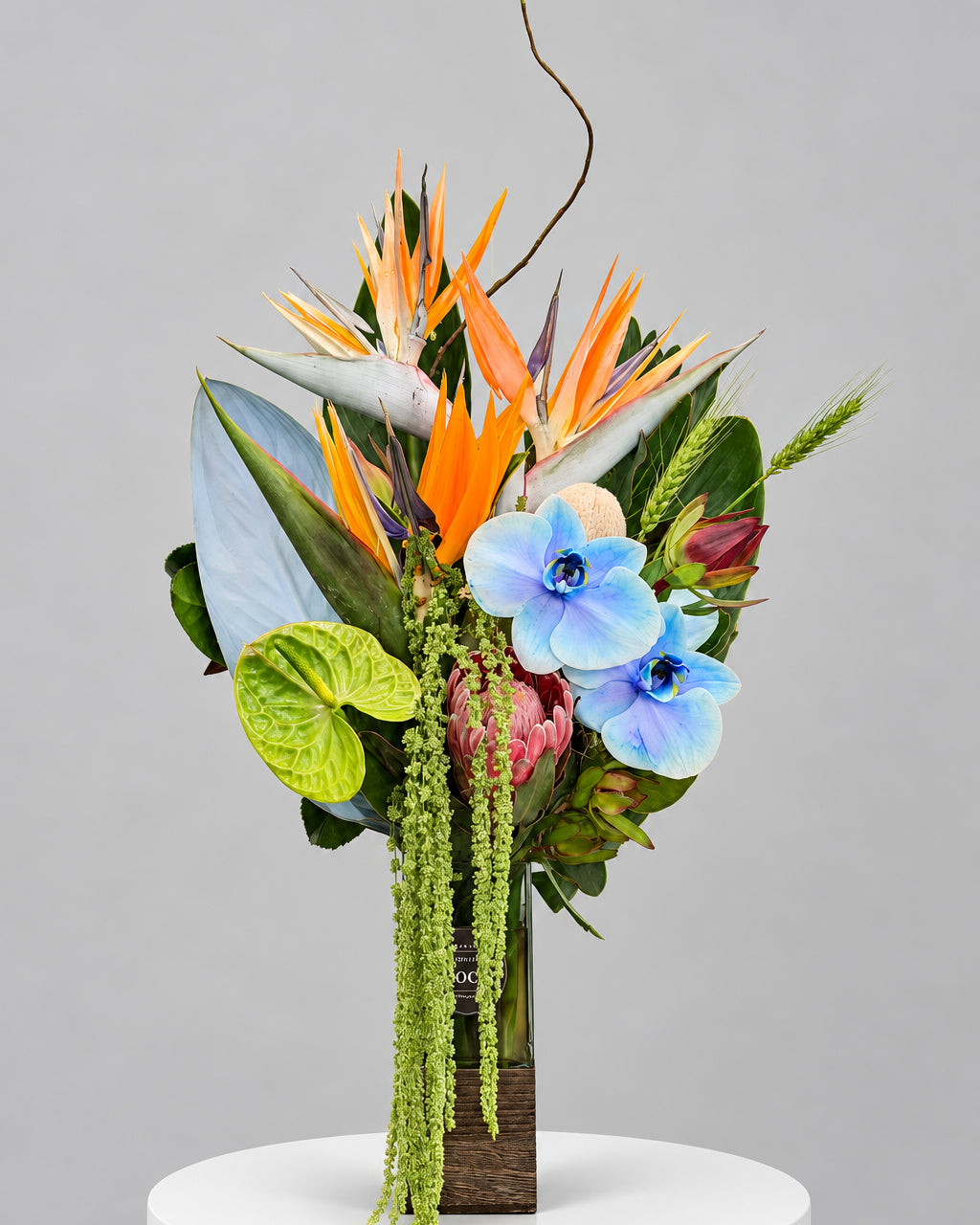 Tropical Statement – Orchid & Protea Arrangement