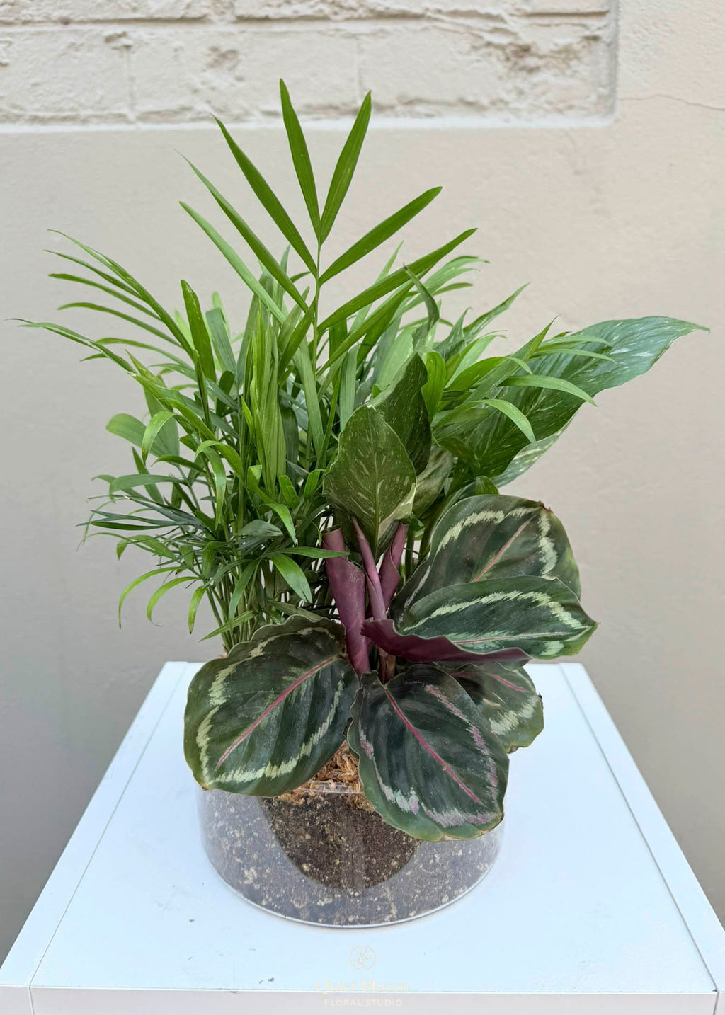 Foliage Garden in Clear Glass Bowl