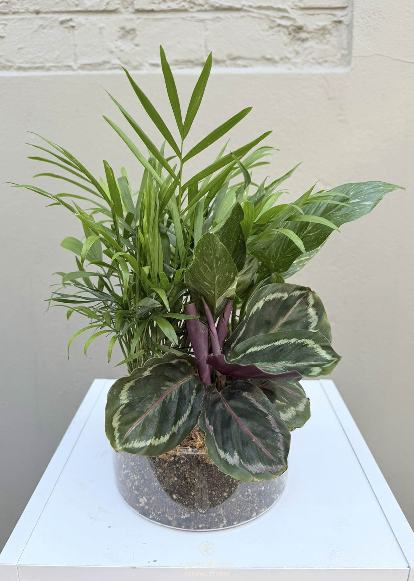 Foliage Garden in Clear Glass Bowl